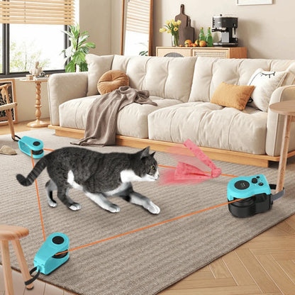 Feline Fun Runner Wheel